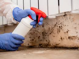 Trusted Geneva, WA Mold Remediation Experts